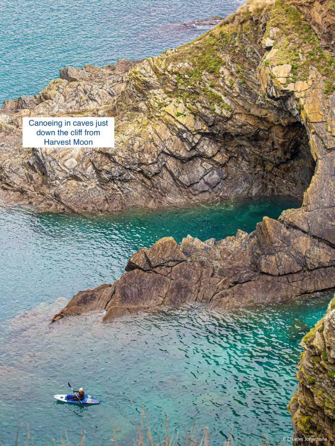 Harvest Moon Apartment Newquay  Bagian luar foto